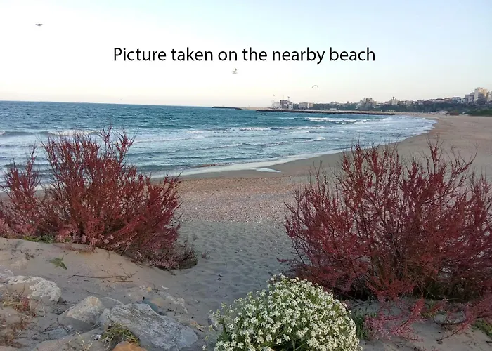 Budget 2br Near & Center アパート コンスタンツァ