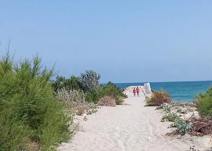 Budget 2br Near & Center アパート