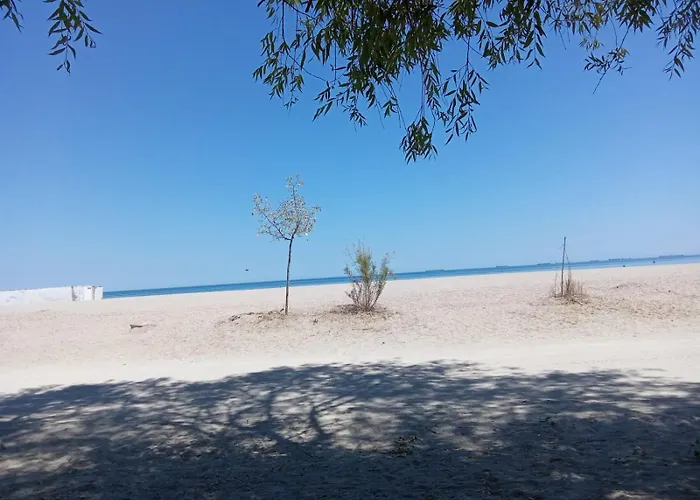 Budget 2br Near & Center アパート コンスタンツァ